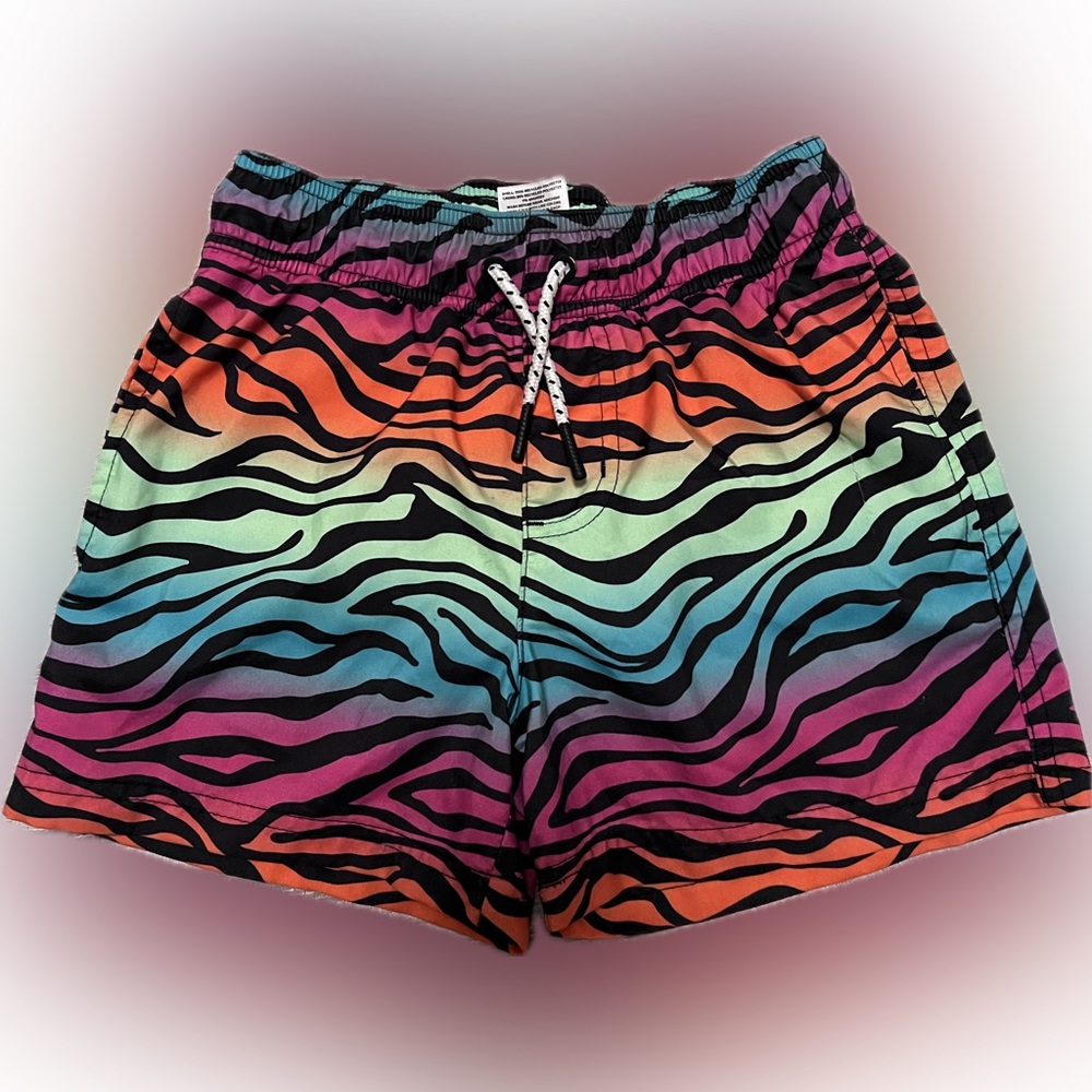 Multicolor Zebra Print Boys Swim Shorts